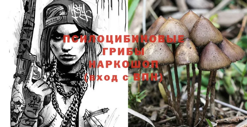 купить наркотики цена  Белокуриха  Галлюциногенные грибы Psilocybine cubensis 